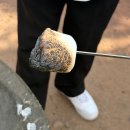 어린왕자 - 제주시 중산간동로 663-1 | [제주 서귀포핫플] 내돈내산 어린왕자감귤밭 체험 후기 및 근처 볼거리,맛집