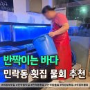 바다물회 | 의정부 민락동 횟집 전복까지 들어가는 물회 맛집 반짝이는 바다 솔직후기