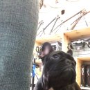 제시카 켄넬 이미지