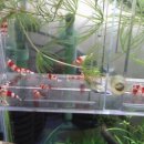 아이씨알 이미지