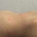 카리스피부관리실 | 순천 마사지 다이어트 피부관리 카리스에스테틱