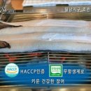 맛집장어 광주점 네이버블로그