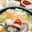 장수돼지 - 22787 | 장수돼지