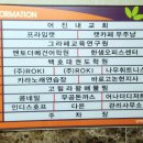 하이바이분양소 인천점 | 유기견보호소 하이바이펫 방문후기 - 하이바이보호소 인천점 (시츄무료분양 아가가 눈에 밟히는 방문)