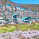 소노펠리체 빌리지 A~D 비발디파크 네이버블로그