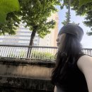 모제이 모음집