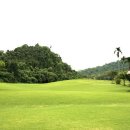 드래곤골프클럽 이미지