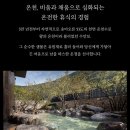 36주 국내 태교여행/충주 유원재 온천호텔 (유순)완전만족 내돈내산 솔직후기