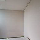 털보벽지 이미지