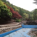 쑥부쟁이(용산저수지)둘레길 이미지