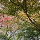 강천산군립공원(강천사) 이미지