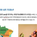 로스팅트리 이미지