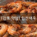 [김포 약암] “힘찬새우” 강화도 양식장직판 가성비 좋은 대하구이, 왕소금 새우구이 맛집 추천
