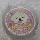 모로로 | 수제 강아지케이크 제작케이크 모로로 후기