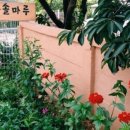 다솔마루 이미지