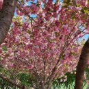 석문목장 이미지