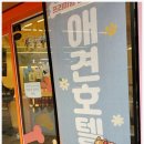 부천애견미용 멍미살롱2호점 | 부천강아지호텔 사각지대 없이 24시간 녹화되는 시스템이라 안심되죠