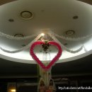 란제리코너 이미지