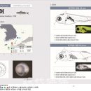 203수산