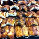 여자만민물장어 이미지