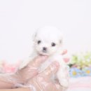 키즈멍 안양본점 이미지