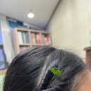 에코르피아노학원 이미지