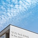 고마워토토 네이버블로그