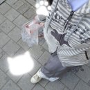 아빠곰약국 | 4월에 외출을 해슨니다 | 성수 팝업 | 투에이엔 | 내향인의 성수 2일 후기 | 번따