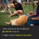 위로
