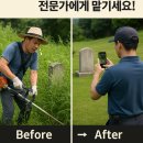 파주시산림조합 | 🍂 [2025년 최신] 벌초대행 완벽 가이드 | 가격·후기·신청 총정리