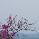 (주)아침 이미지