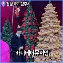 경주 비오는날 가볼만한곳 바니베어뮤지엄 실바니아 박물관 포토존, 주차 등 후기