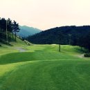 아리솔cc 이미지