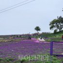 전남수상레포츠협회 이미지
