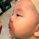 가가분식