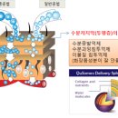 이바인코리아(주)
