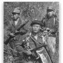 박사리 네이버블로그