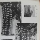 송학초교 이미지