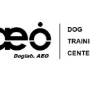 스타 반려견 교육센터 이미지