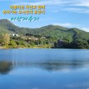 미산애견 이미지