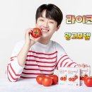 토마토광고 이미지