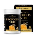 호주 면세점 상설 할인점 이미지