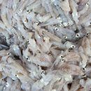 쎄일마트 이미지