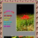 꽃무릇공원 이미지