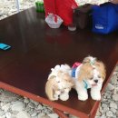 한솔농원 이미지