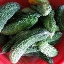 땅끝농장 이미지