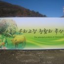 농산물주유소 이미지