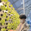 승미농장 | [2021 국제농업박람회] 농업이 세상을 바꾼다!