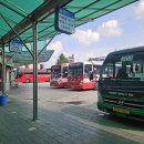 (유)동광담양고속 이미지