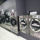 죽도세탁 이미지